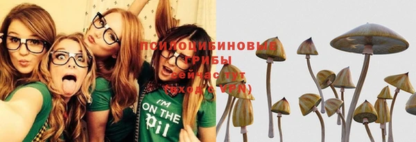скорость Заводоуковск