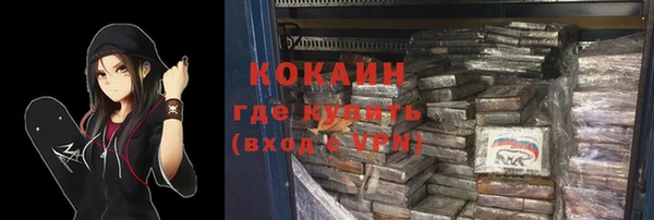 гашик Зерноград