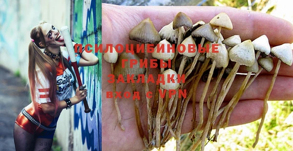 скорость Заводоуковск