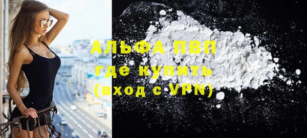 ПСИЛОЦИБИНОВЫЕ ГРИБЫ Заволжье