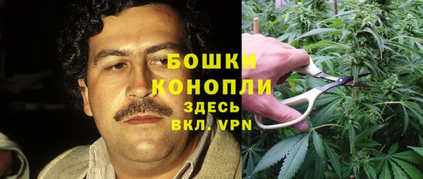 ПСИЛОЦИБИНОВЫЕ ГРИБЫ Заволжье