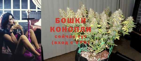 ПСИЛОЦИБИНОВЫЕ ГРИБЫ Заволжье