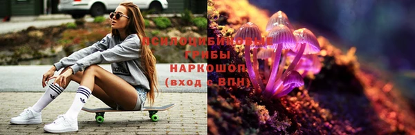 скорость Заводоуковск