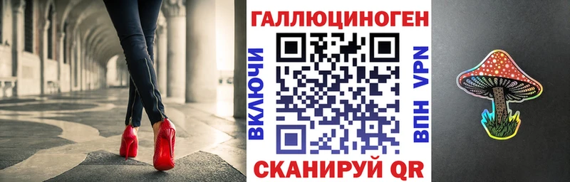 МЕГА   Полесск  Псилоцибиновые грибы прущие грибы  как найти закладки 