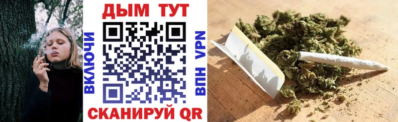 Каннабис индика  где купить наркотик  Полесск 